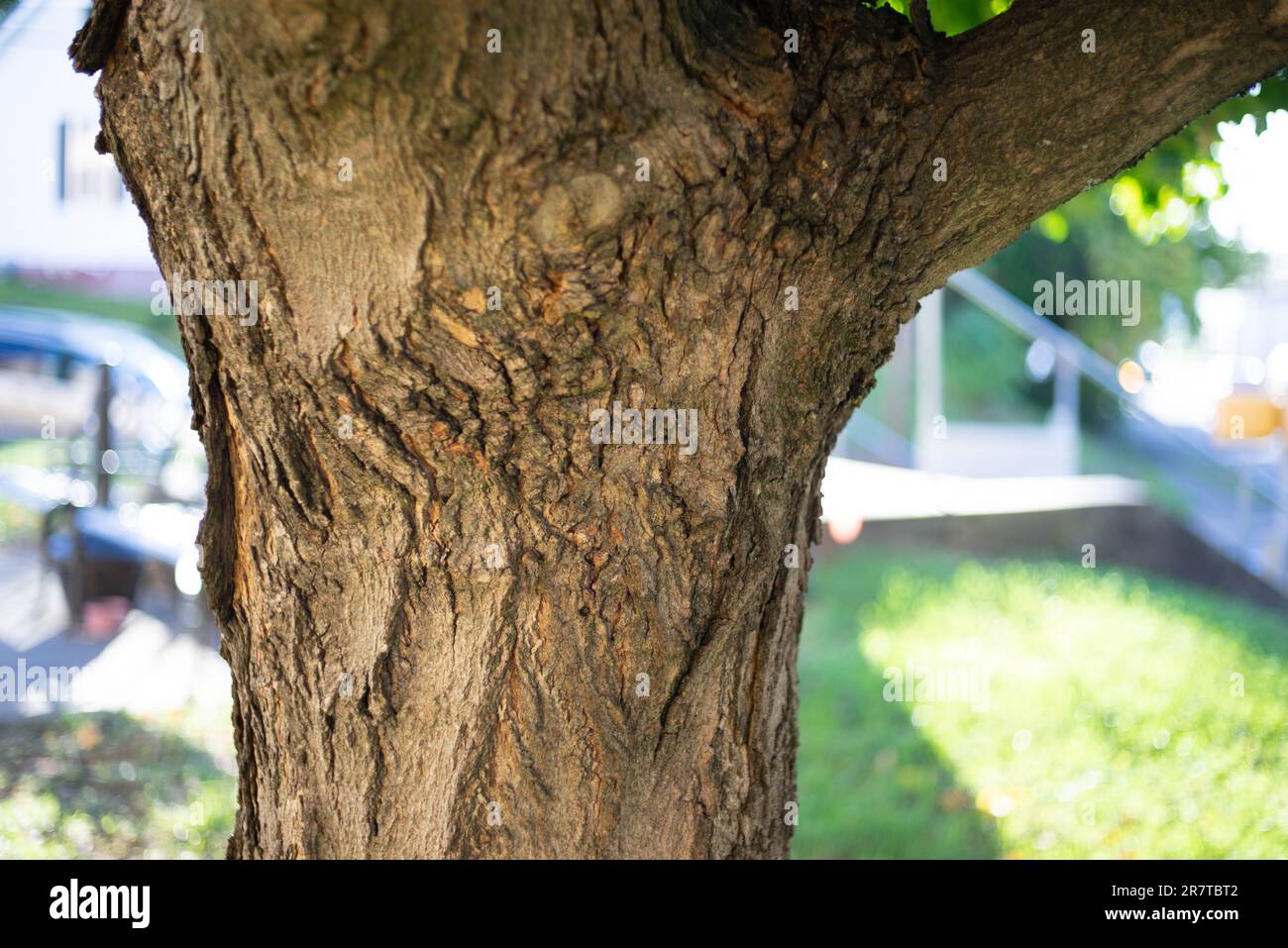 Watauga square apartments hires stock photography and images Alamy