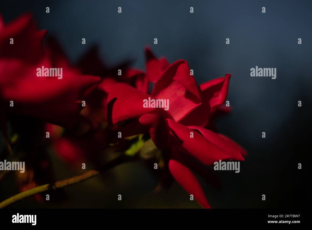 Johnson City, Tennessee, United States 20220926 Watauga Square