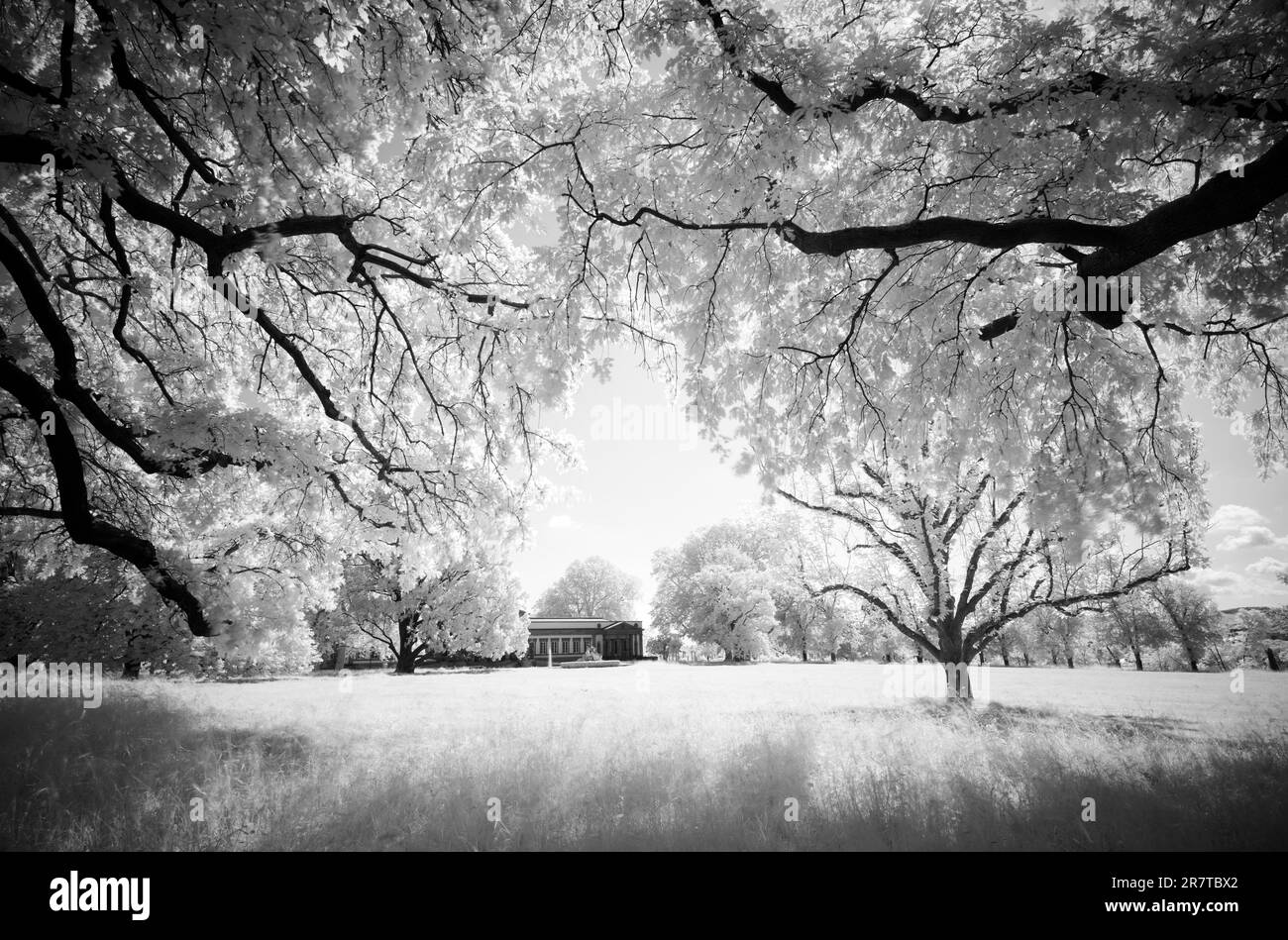 Infrared image, Natural History Museum Stuttgart, Rosenstein Castle, Rosenstein Park, Stuttgart, Baden-Wuerttemberg, Germany Stock Photo