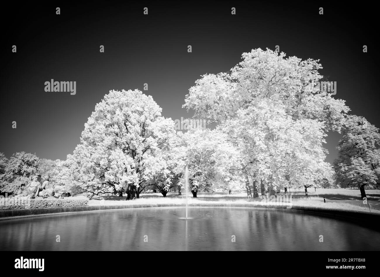 Pond Nymphs Black And White Stock Photos Images Alamy pond-nymphs-black-and-white-stock-photos-images-alamy
