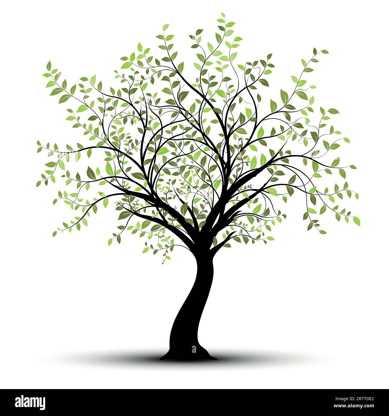 Green vector tree over white background Stock Vector