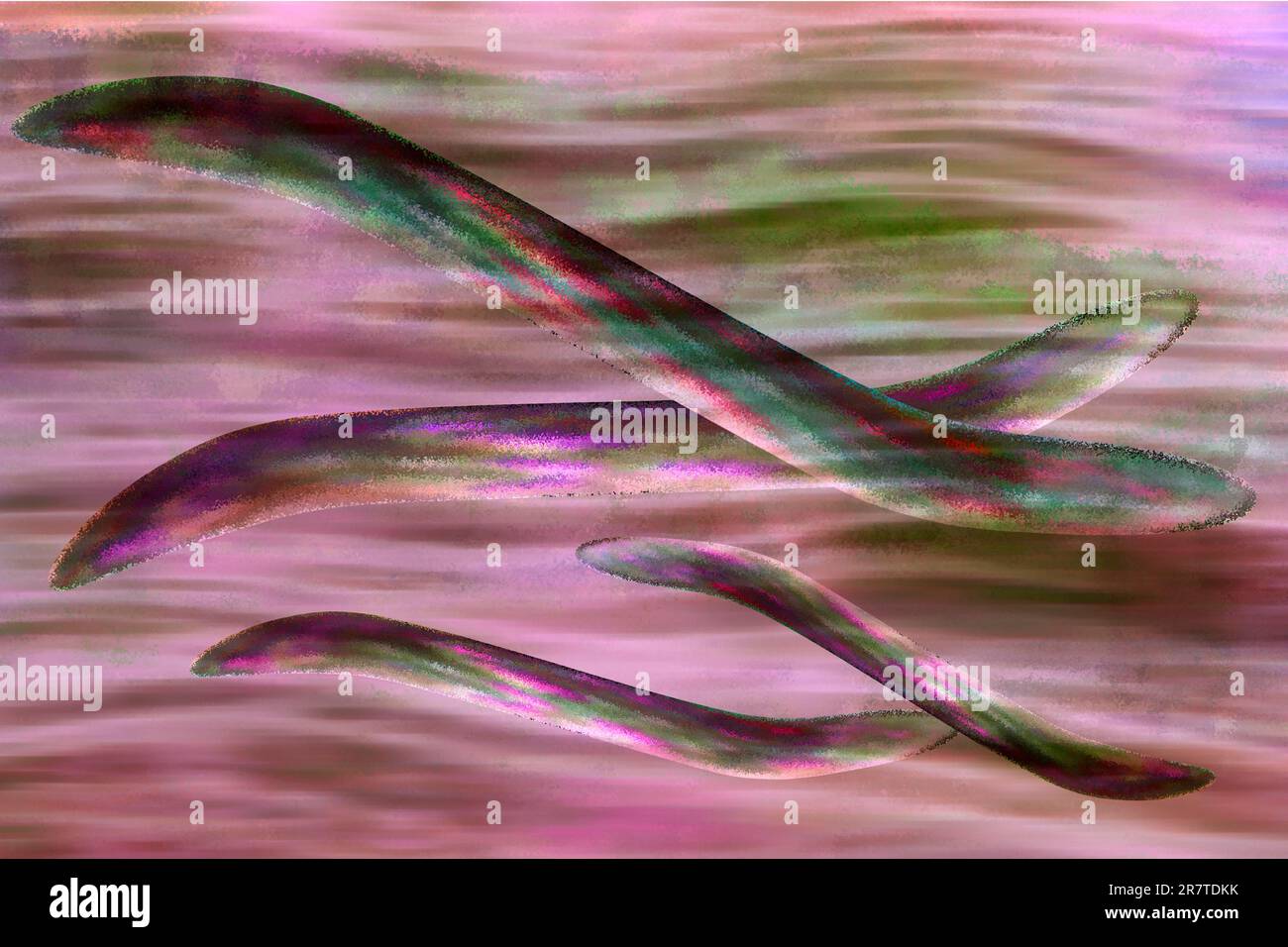 Bacteria with a simple cell wall, cell, illustration