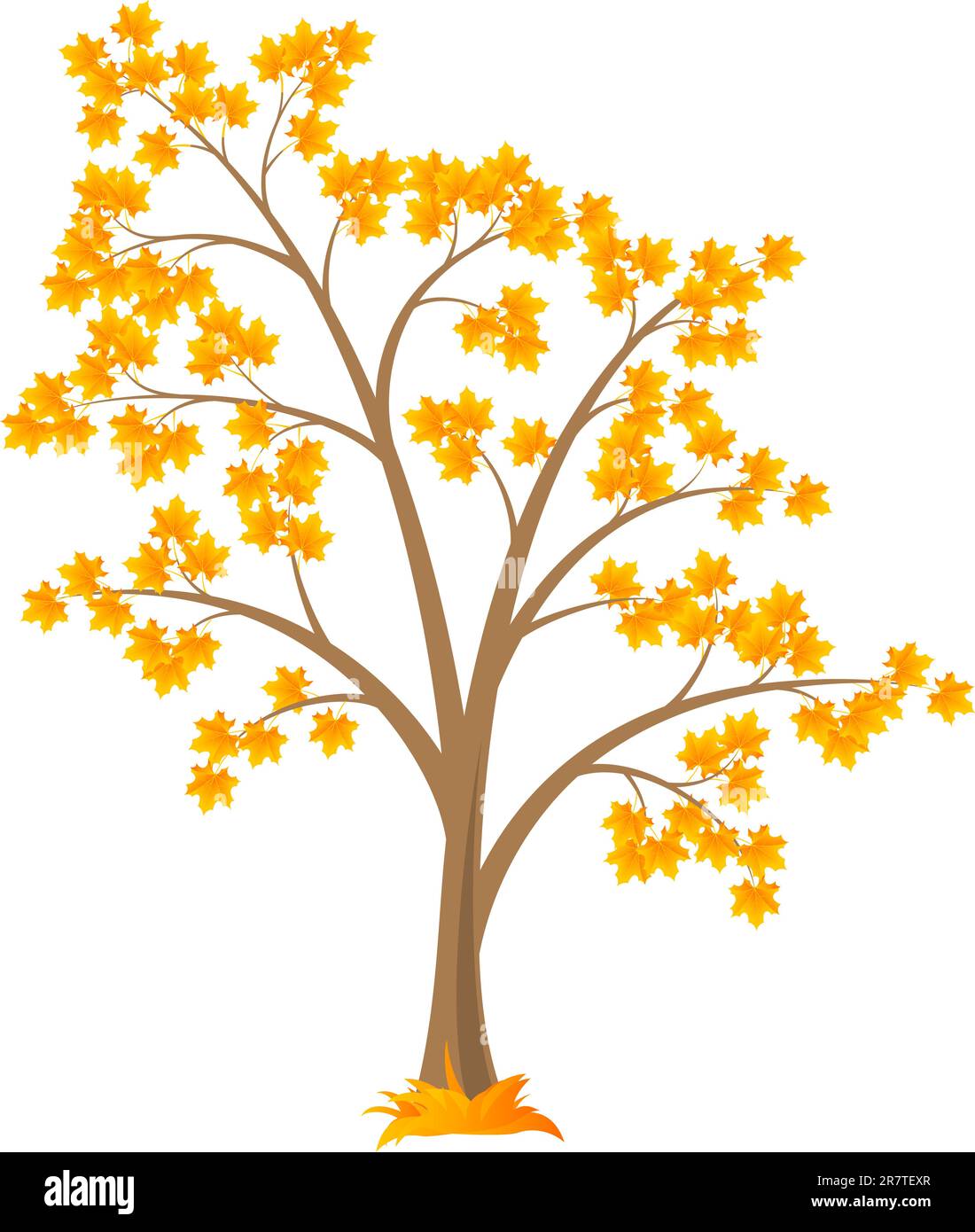 Vector deciduous tree, isolated on a white background Stock Vector