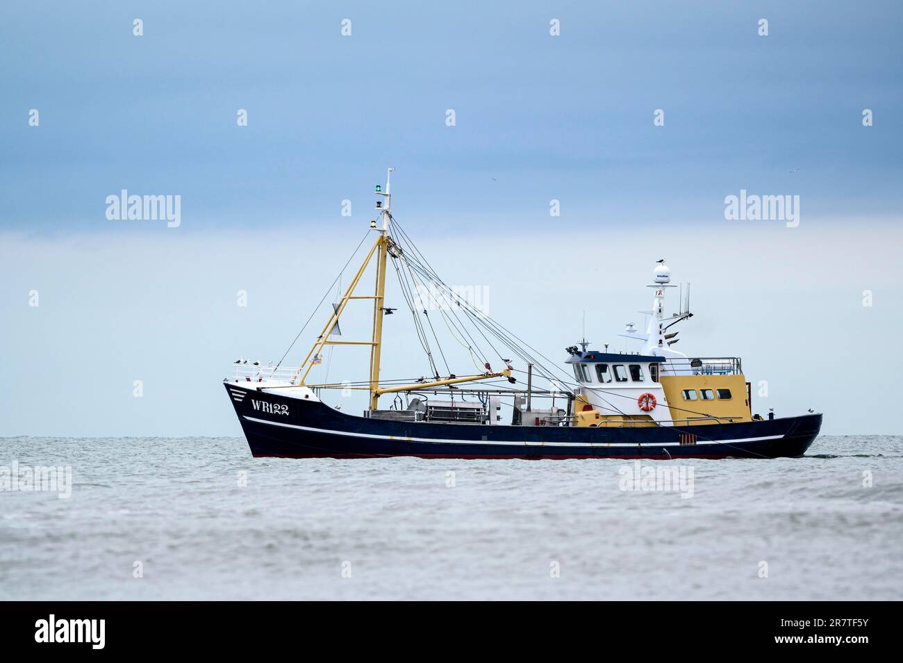 Shrimper, crabber near the beach, Texel Island, North Sea, North Holland, Netherlands Stock Photo