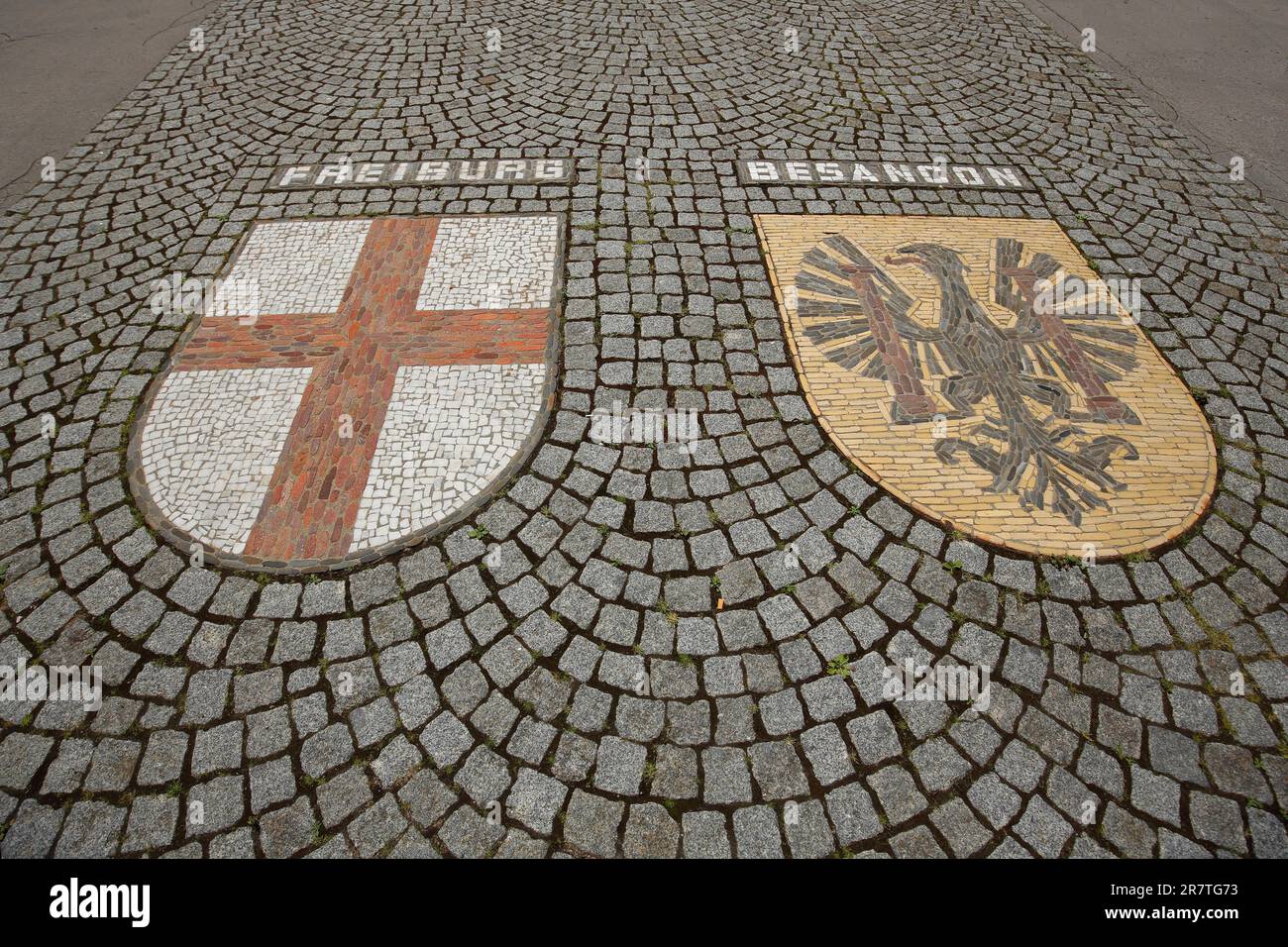 City coat of arms with floor mosaic from the twin city of Freiburg im Breisgau, Hotel de Ville, City Hall, Mosaic, Besancon, Doubs, France Stock Photo