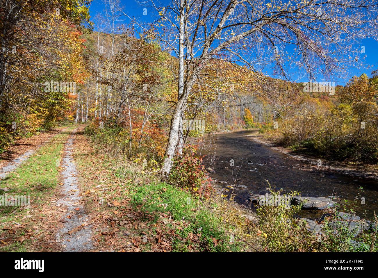 Martinton West Virginia The Greenbrier - Martinton West Virginia The Greenbrier River Trail The 78 Mile Rail Trail Runs Along The Greenbrier River Now A Linear State Park It Was 2R7TH45
