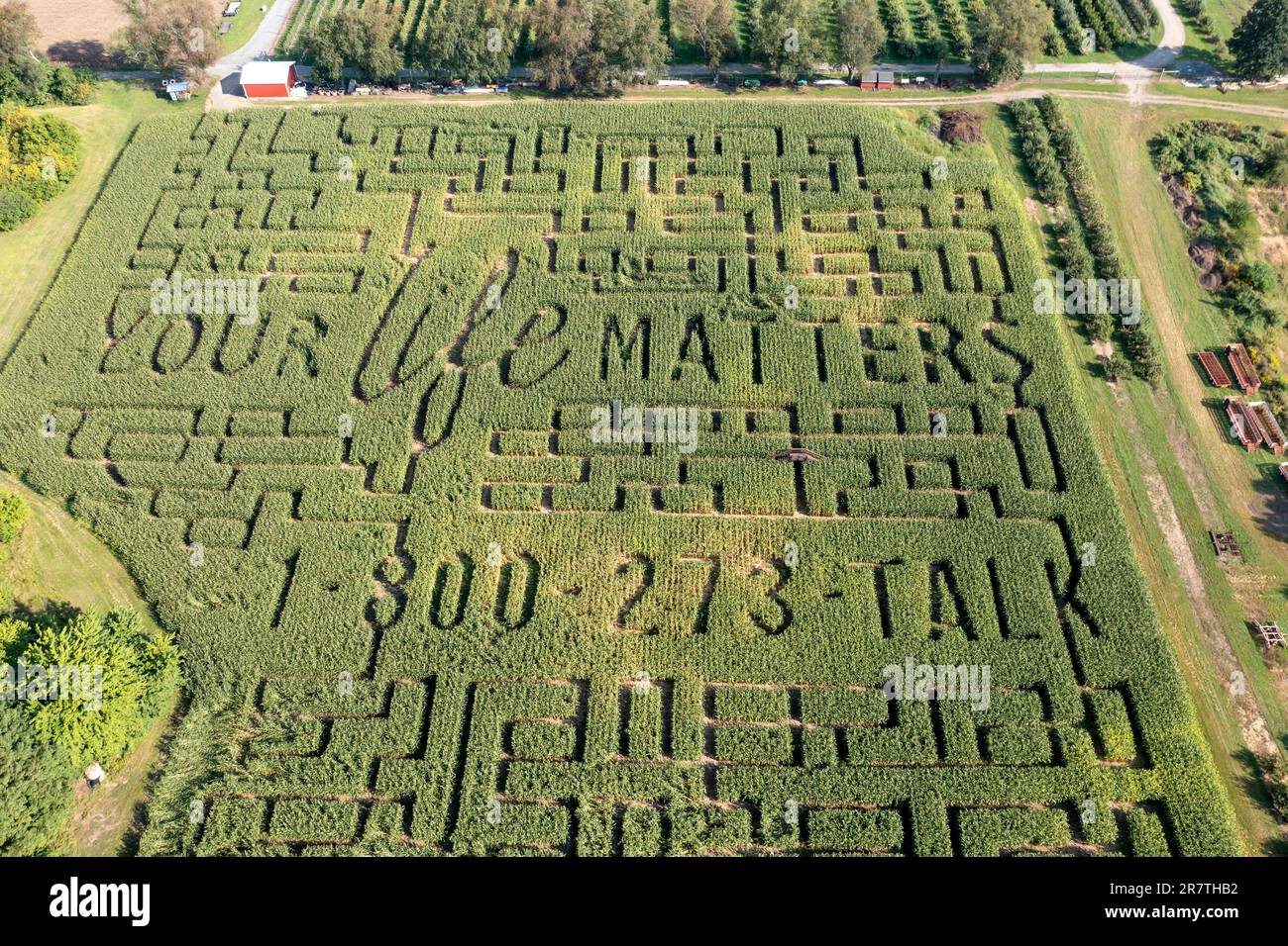 Richland, Michigan, A corn maze with a suicide prevention theme at Gull Meadow Farms Stock Photo