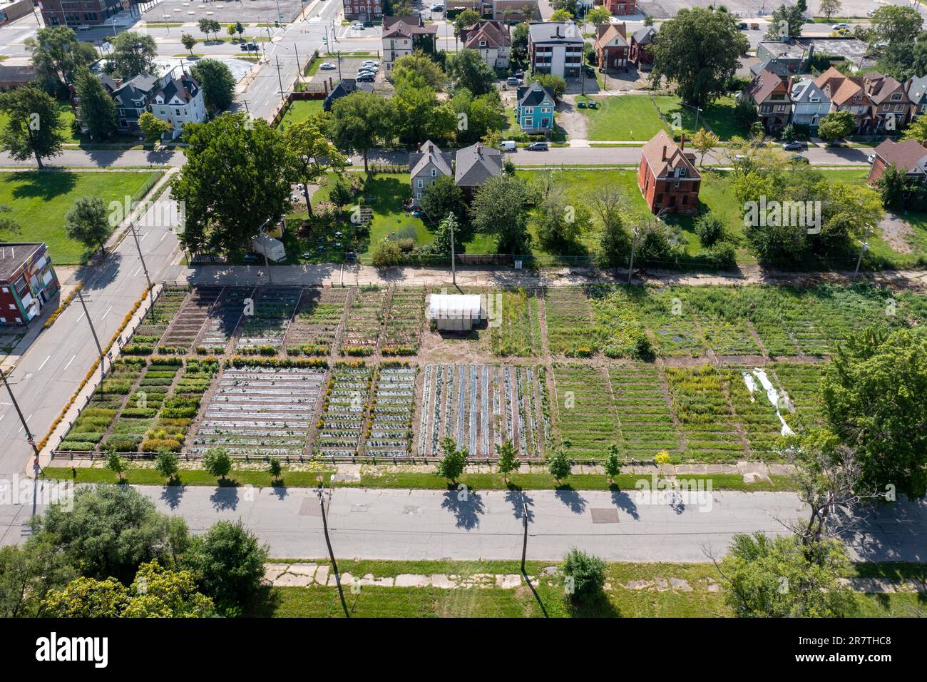 Detroit, Michigan, A nonprofit farm in midtown Detroit, called the
