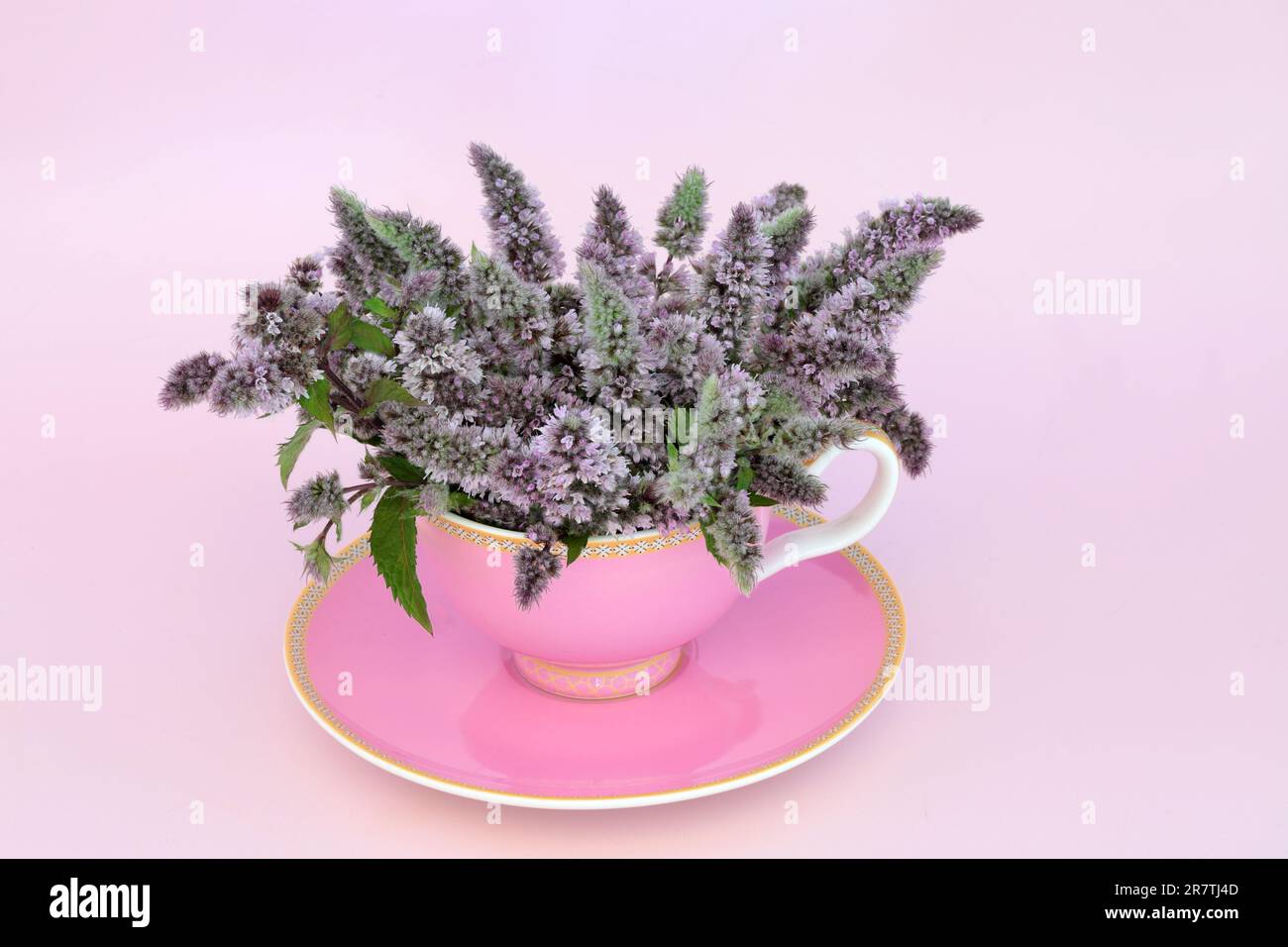 Peppermint flower leaf tea in pink teacup. Promotes good digestive