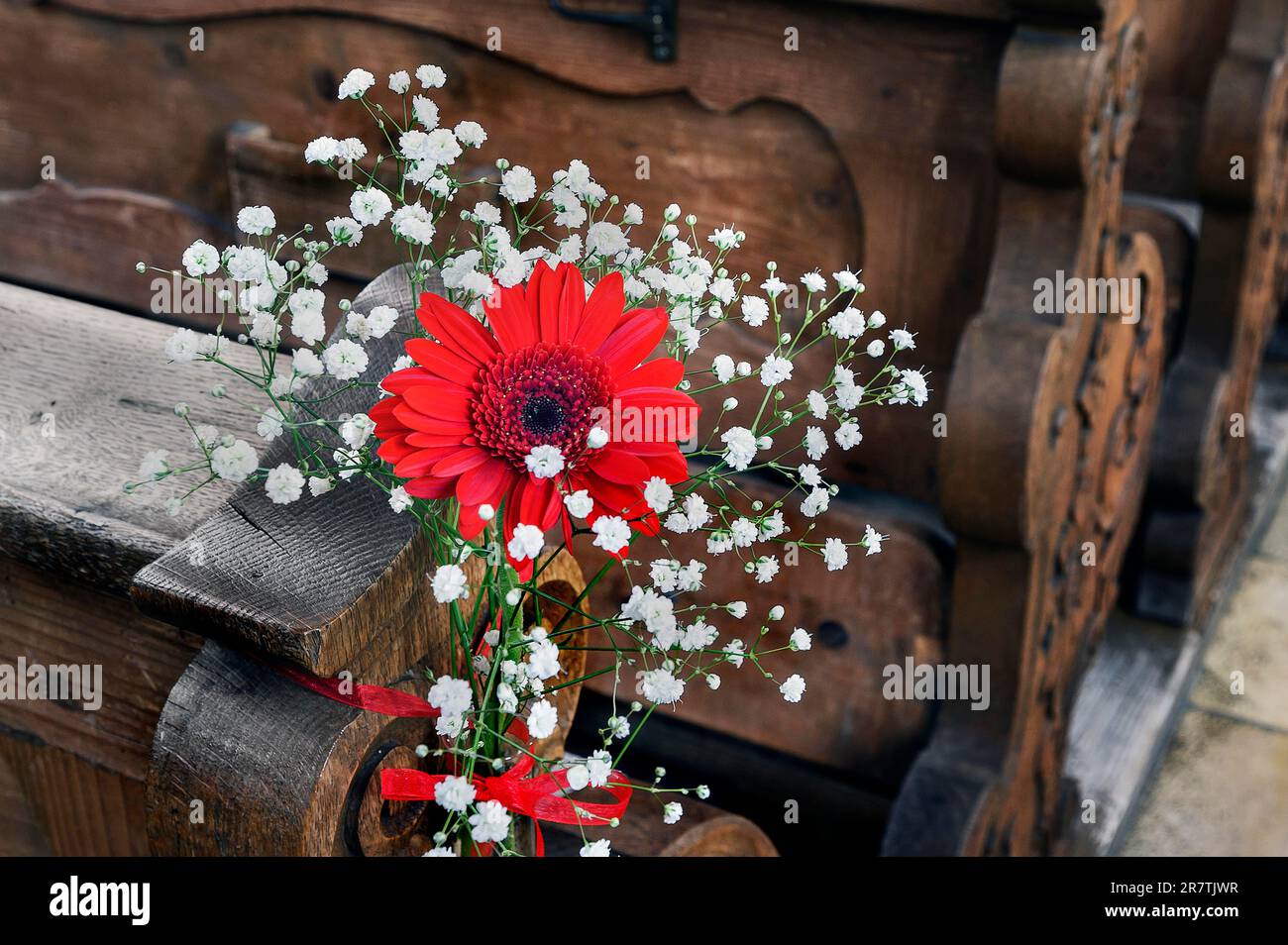 Red Gerber with Gypsophila Red Gerber with Gypsophila