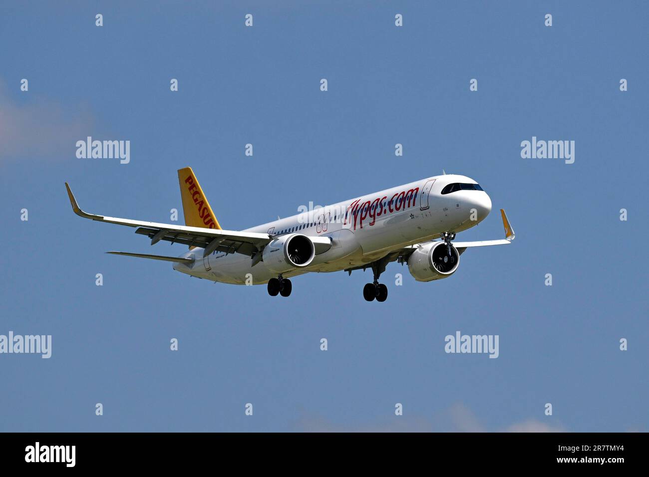 Aircraft Pegasus, Airbus A321neo, TC-RDH Stock Photo