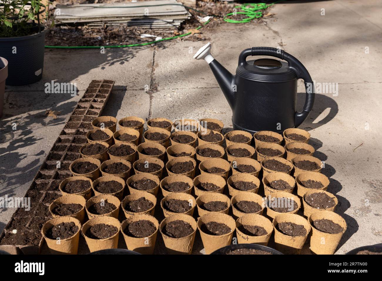 Black watering can behind rows of dirt filled containers ready for seed Stock Photo