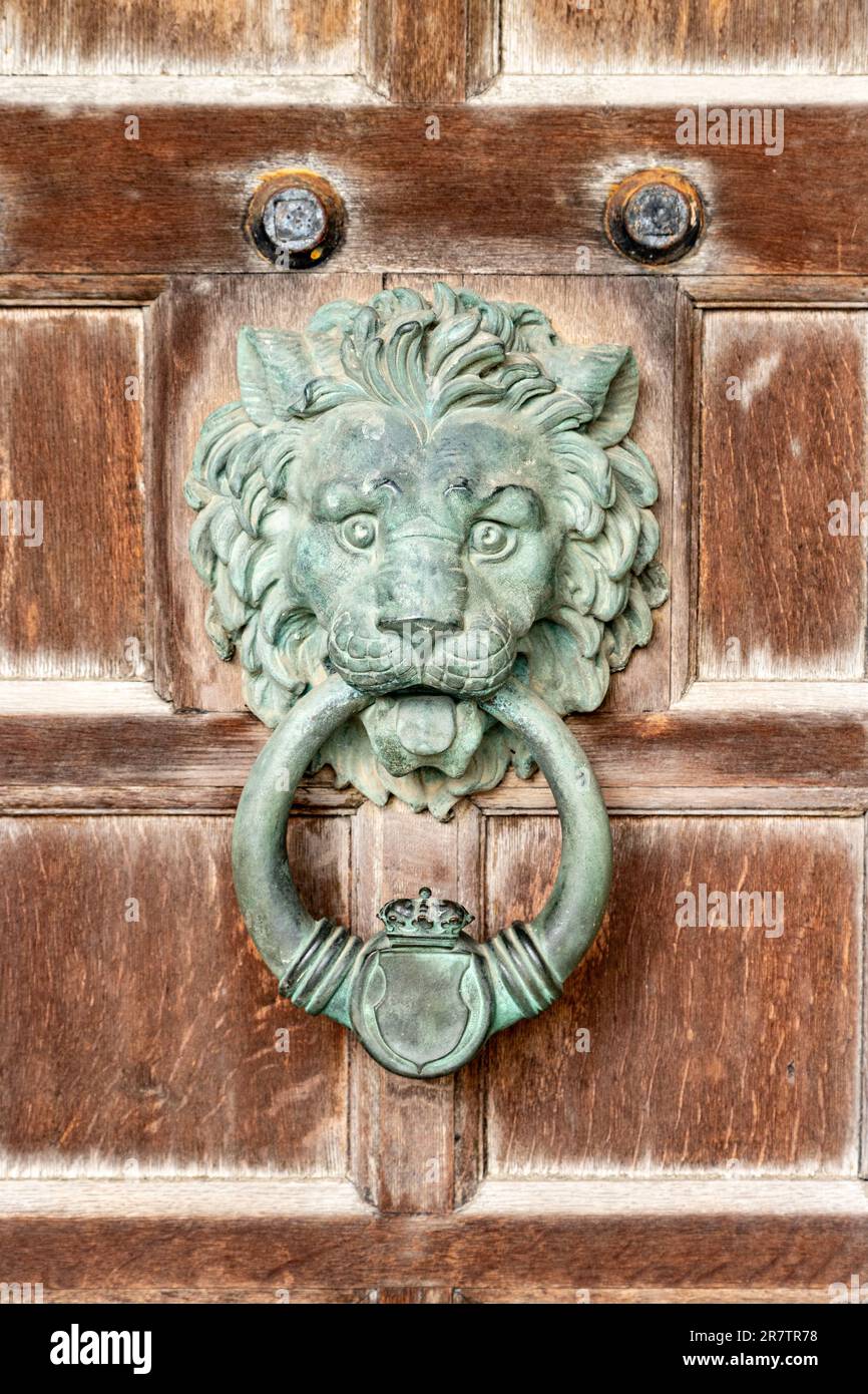 Small Lion Head Batacchio Door Knocker With Handle – Italian Made, Brass Finish