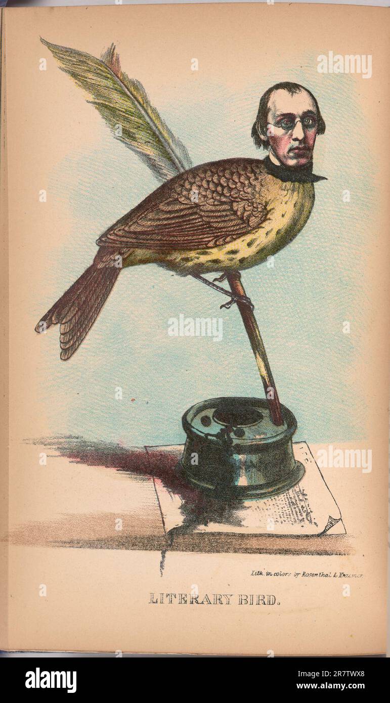 Literary Bird 1851 Stock Photo - Alamy