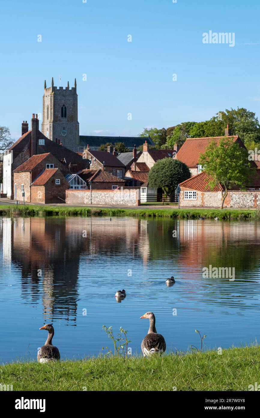 Village pond with Greylag geese, Anser anser, and church in quaint village of Great Massingham in springtime in Norfolk, England Stock Photo