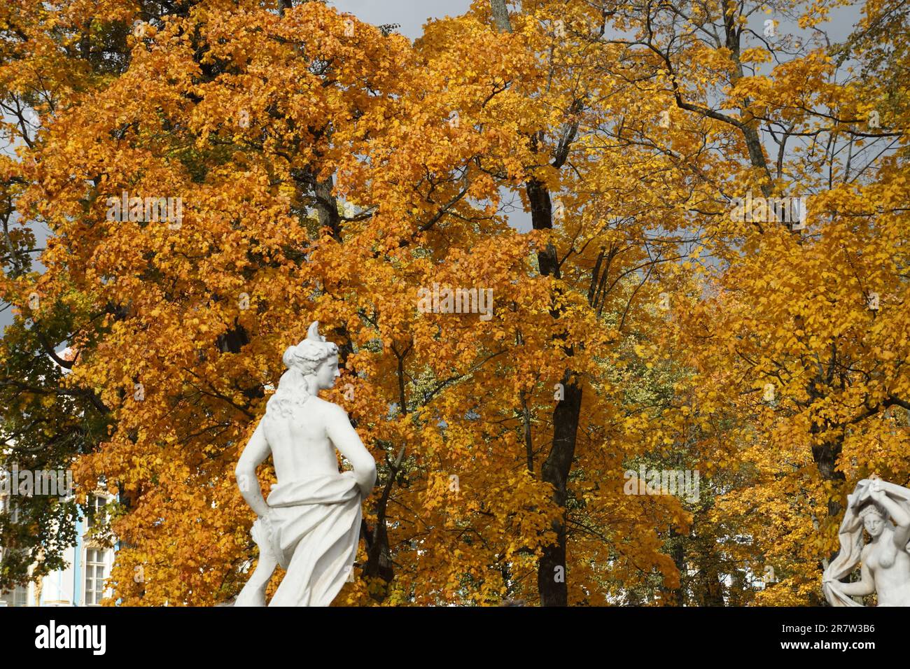 The statues of classical figures, sitting on the ground in a