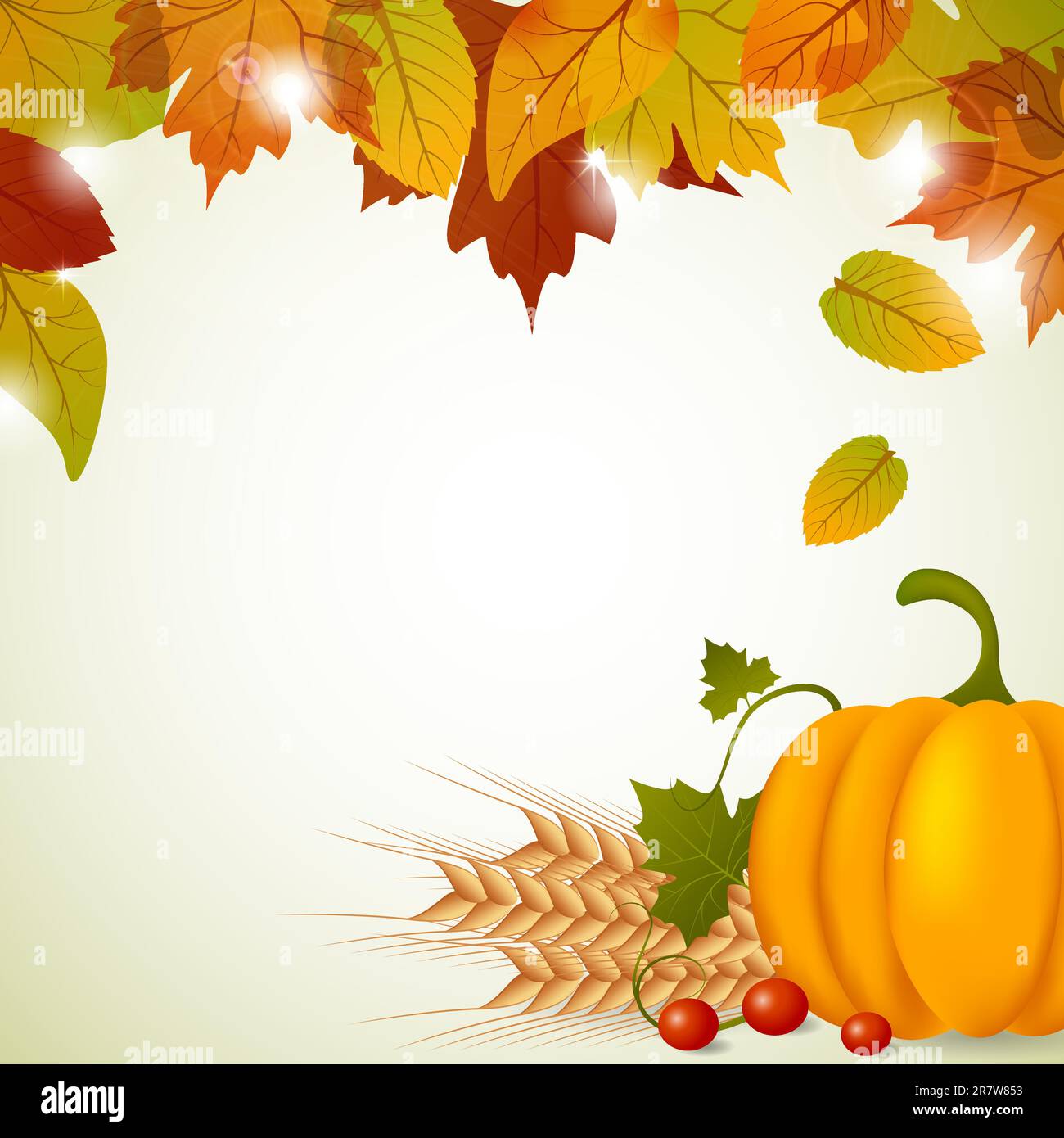 Vector pumpkin and leaves Stock Vector Image & Art - Alamy