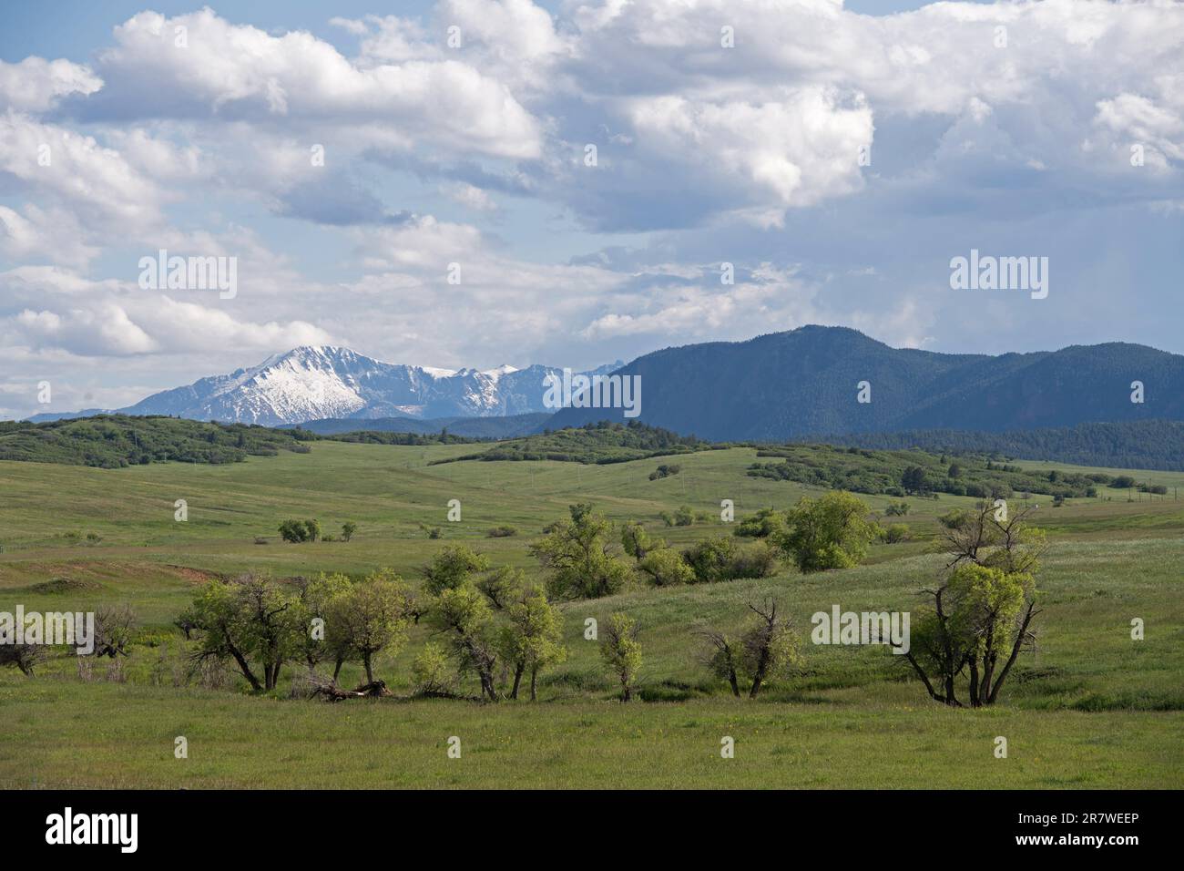 Pikes Peak in the distance, overlooking Greenland Open Space, a county park near Monument, Colorado Stock Photo