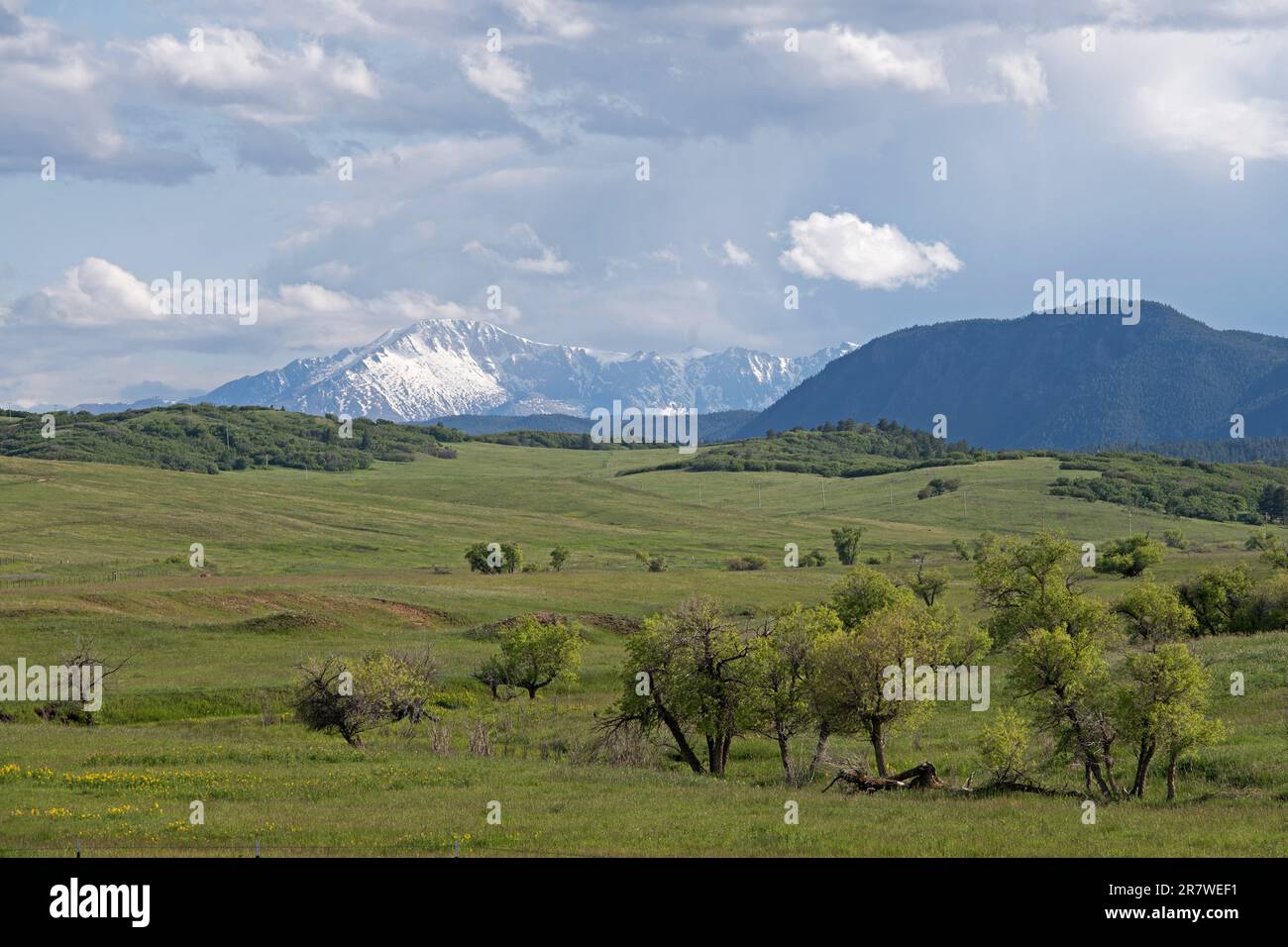 Pikes Peak in the distance, overlooking Greenland Open Space, a county park near Monument, Colorado Stock Photo