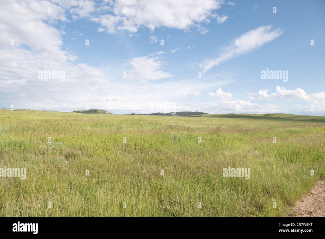 Greenland Open Space, A County Park Near Monument, Colorado Stock Photo 