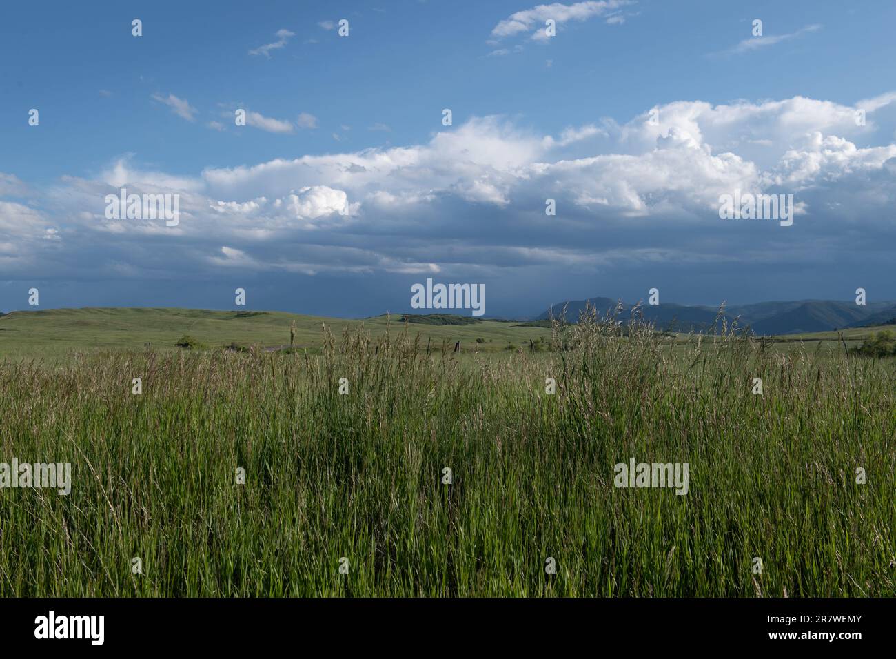Greenland Open Space, a county park near Monument, Colorado Stock Photo