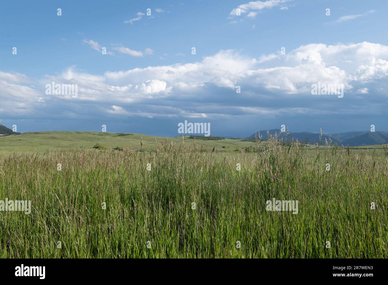Greenland Open Space, a county park near Monument, Colorado Stock Photo