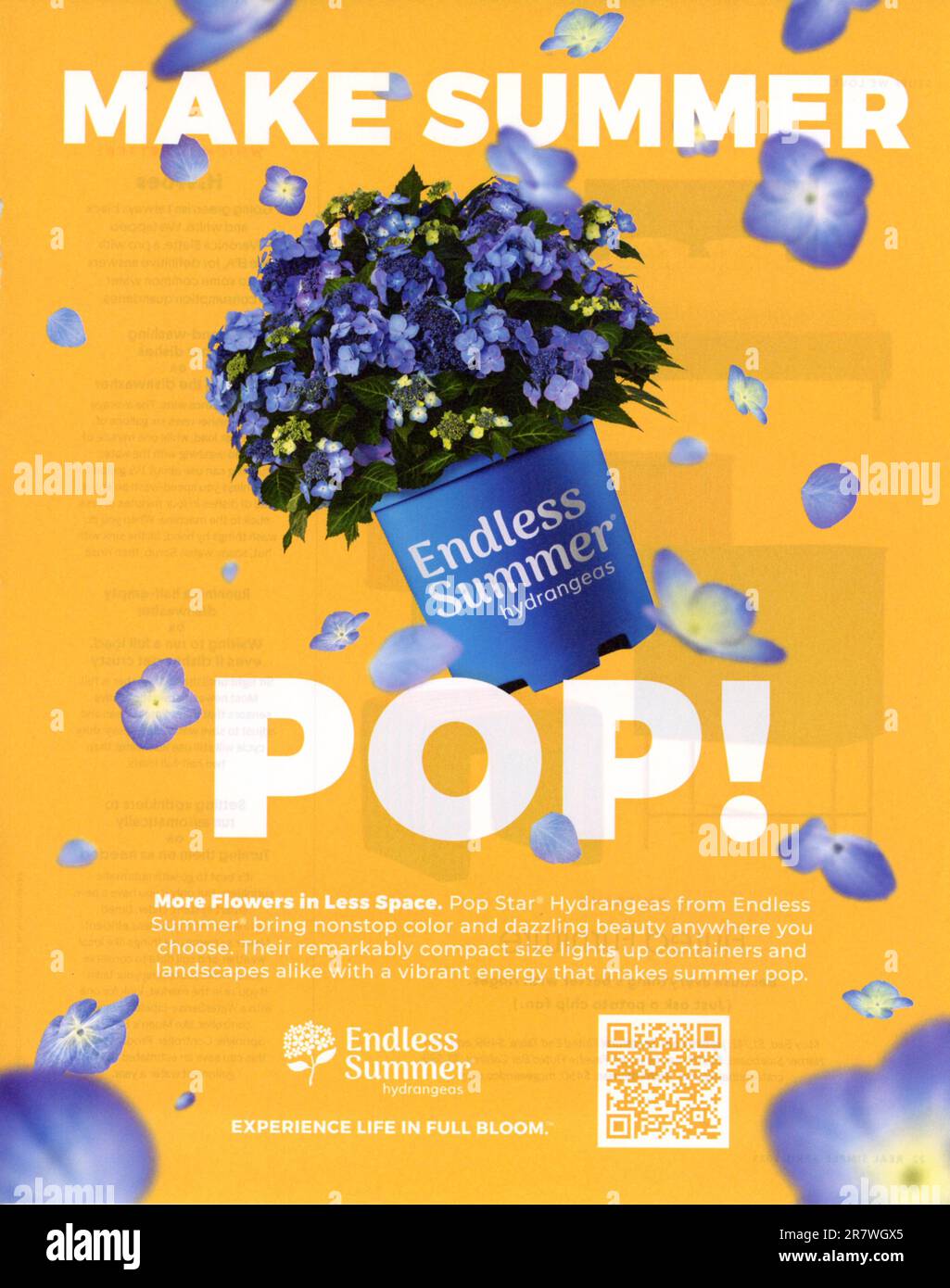 "Real Simple" April 2023 magazine advert, USA Stock Photo Alamy