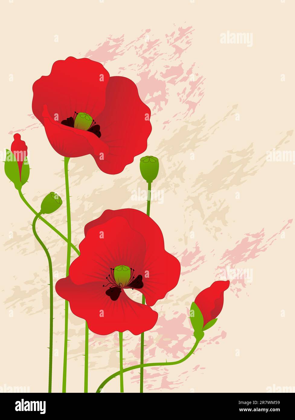 vector floral background with red poppies Stock Vector Image & Art - Alamy