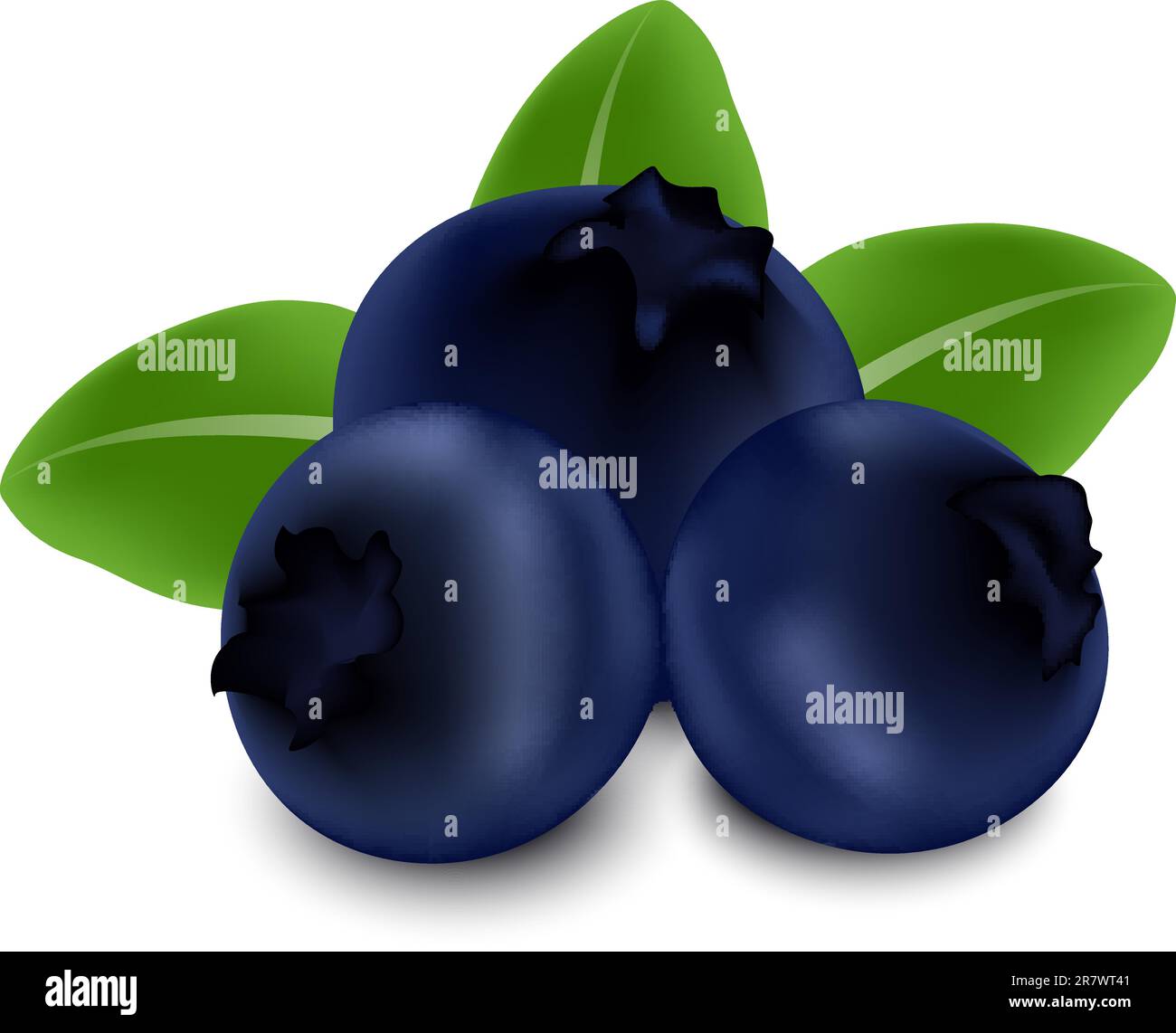 Blueberries snack Stock Vector Images Alamy