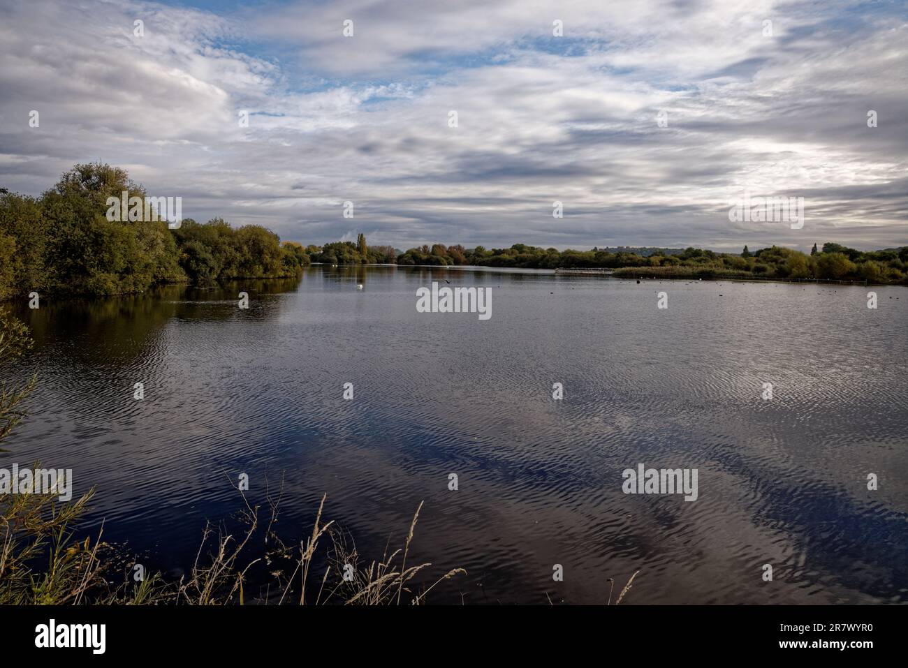 Attenborough Nature Reserve, Nottingham Stock Photo