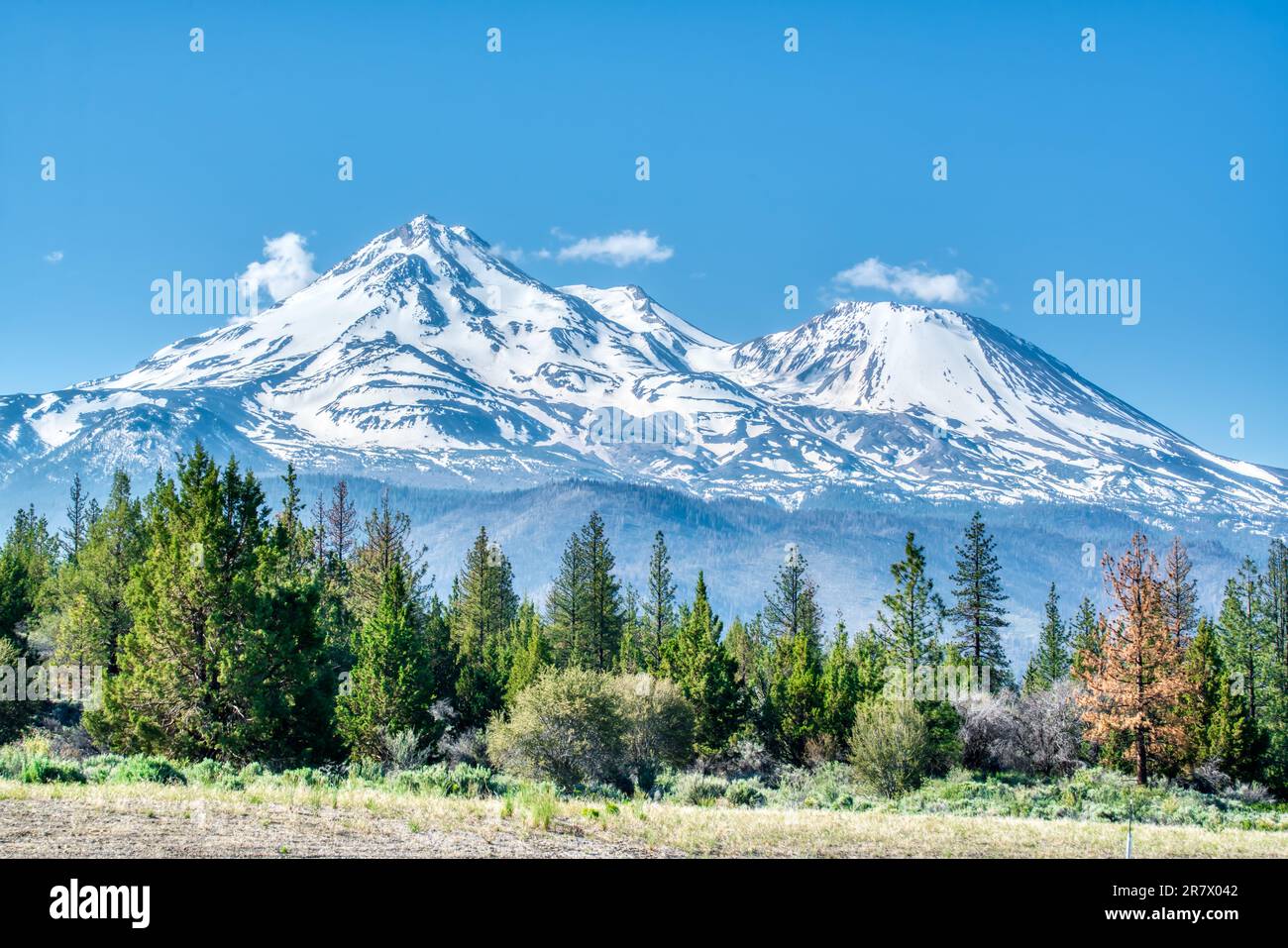 Mount Shasta is a dormant volcano near Siskiyou, California in the Cascade Mountains of northern California Stock Photo