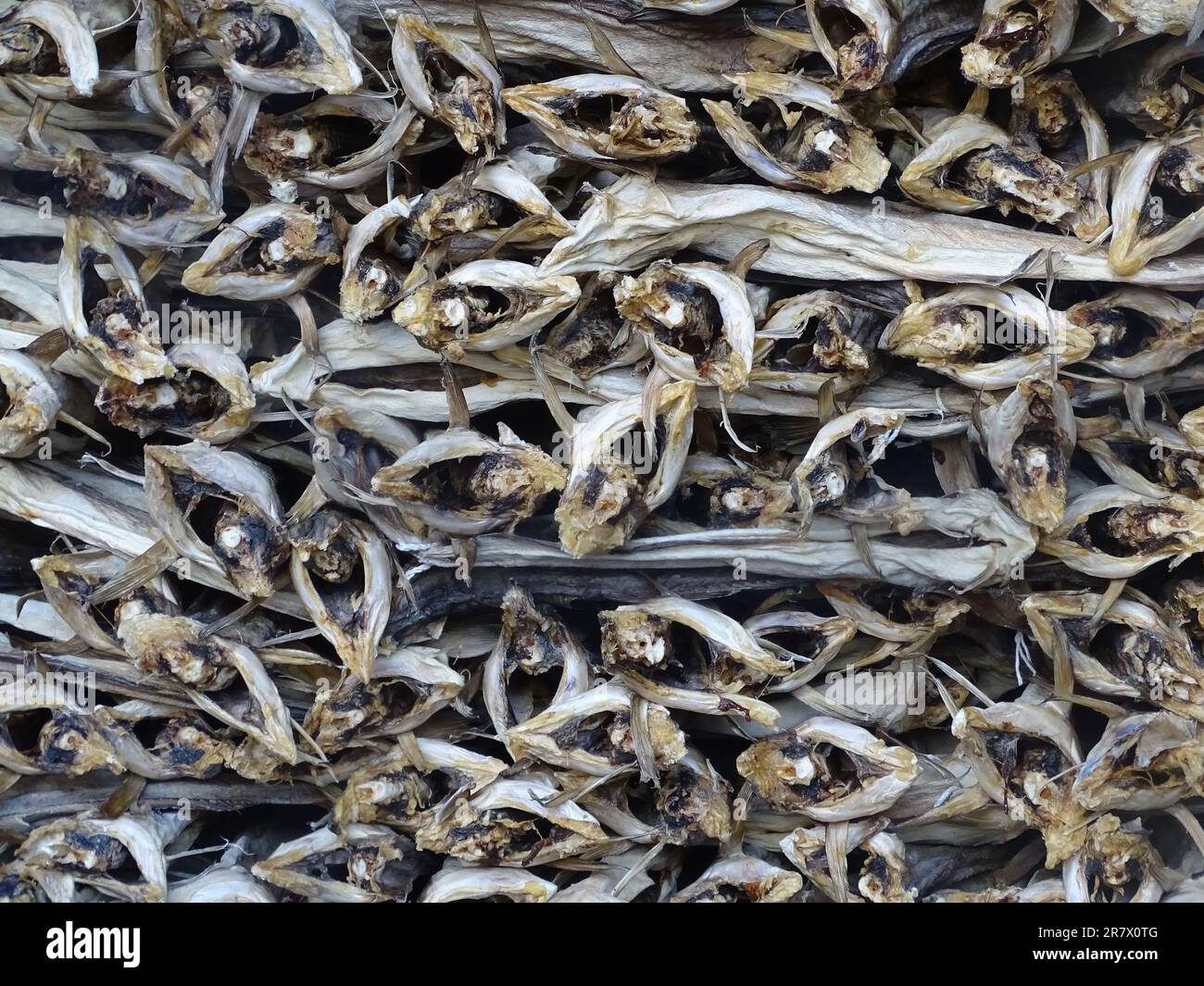 A closeup shot of a large pile of traditional dried fish, taken in Bo