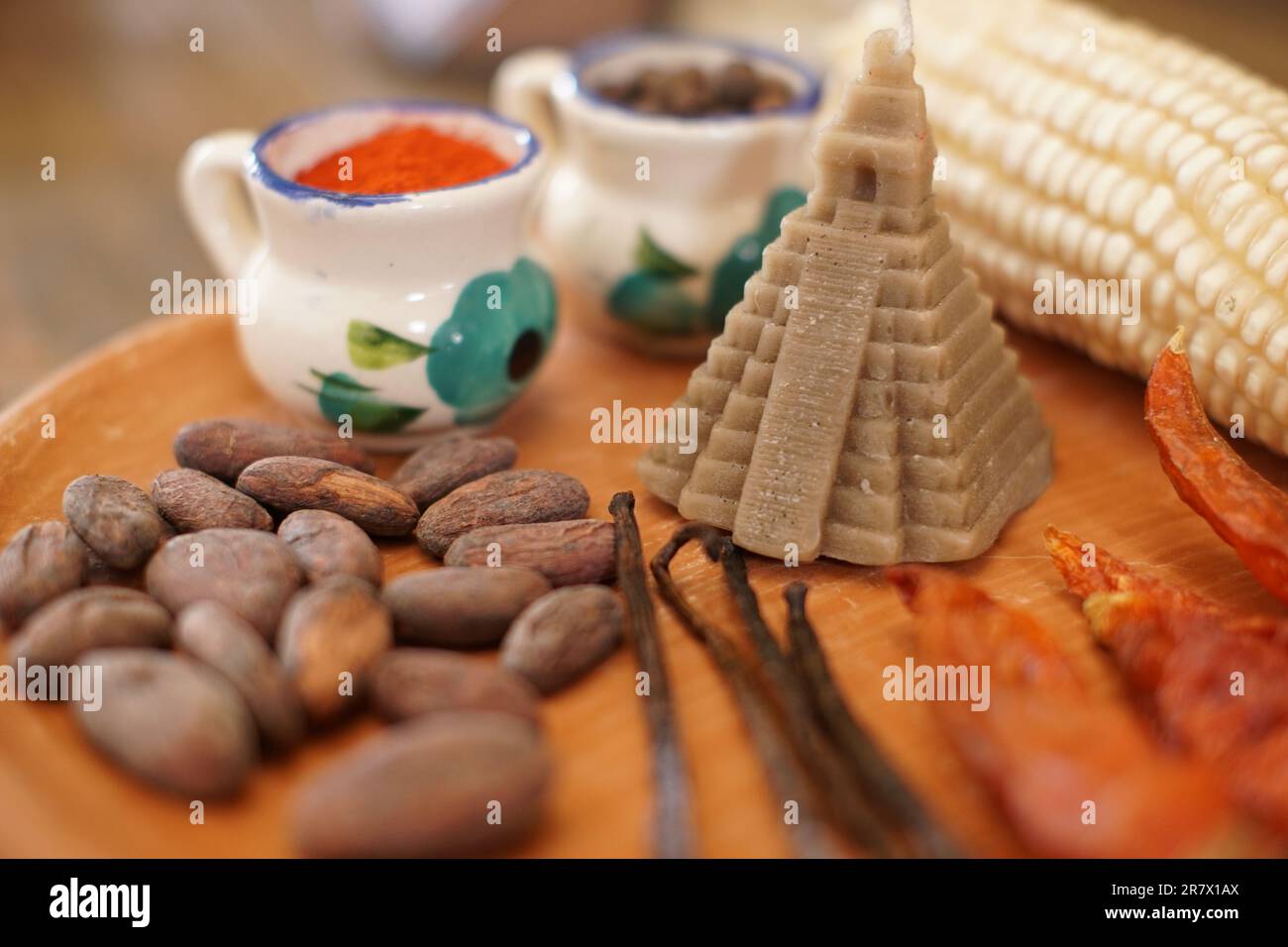 Ancient mayan chocolate ingredients on a plate including cacao, vanilla