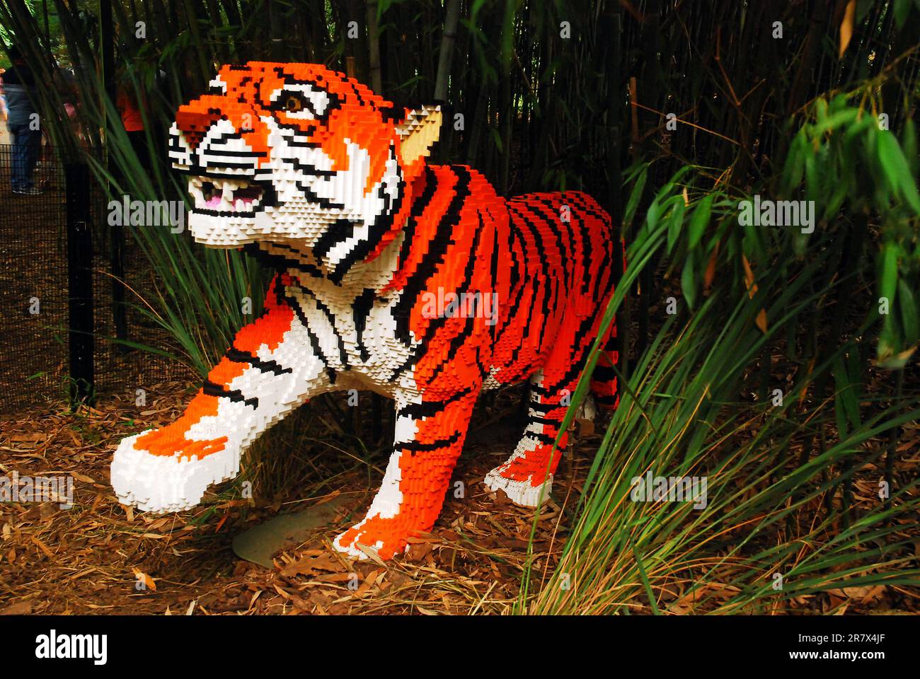 A Lego tiger comes through the grasses, a decoration at the Bronx Zoo Stock Photo