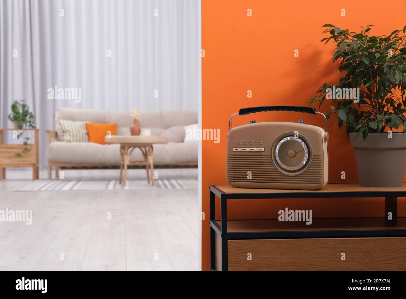 Retro radio receiver and houseplant on console table in stylish hallway ...