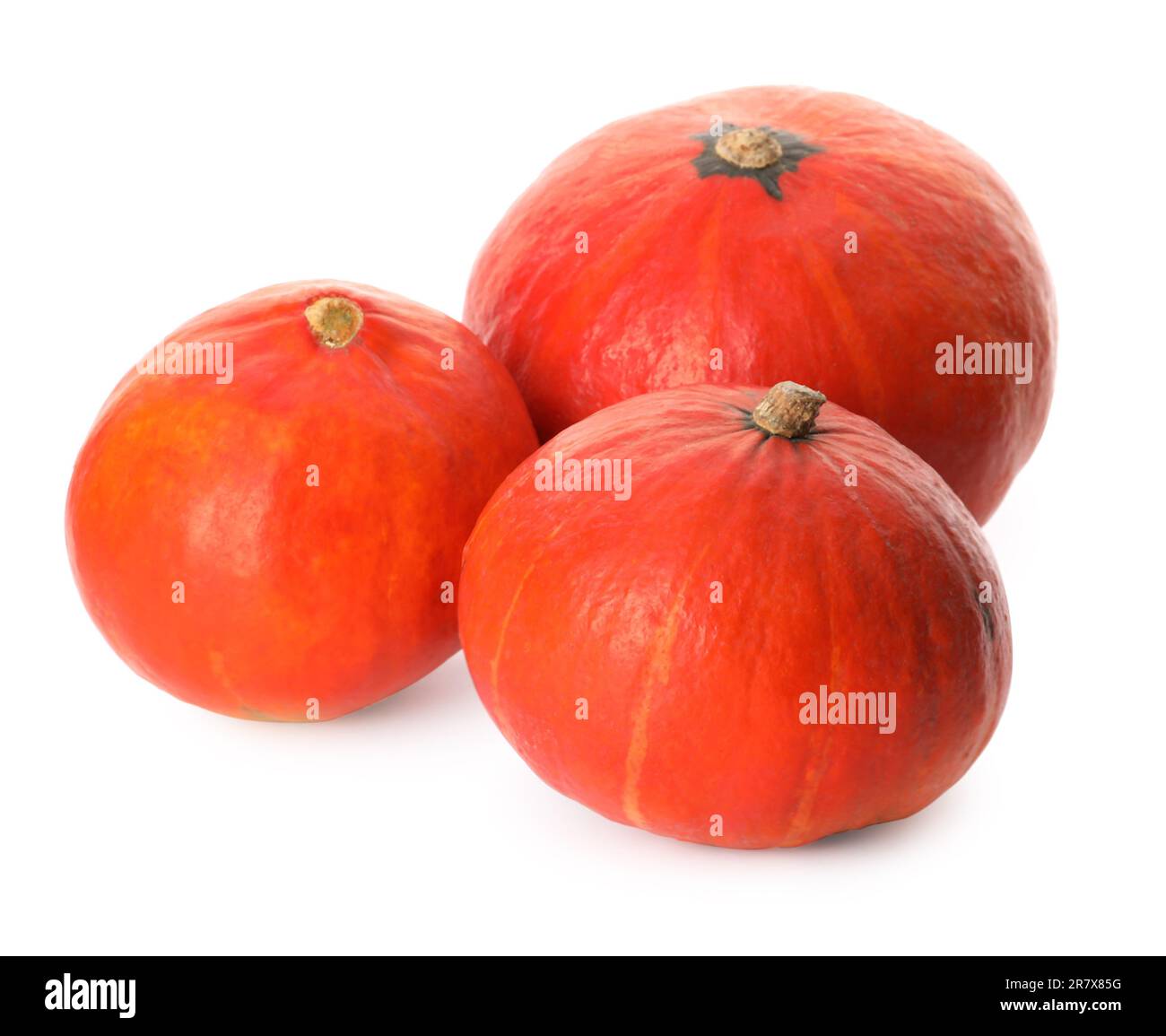 Many whole ripe pumpkins on white background Stock Photo - Alamy