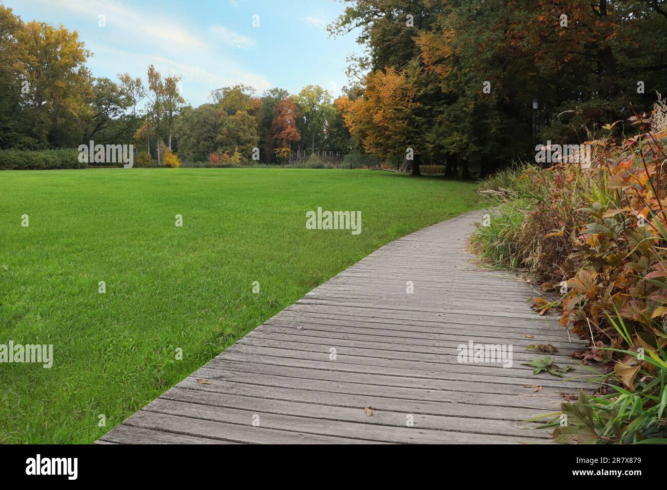 Beautiful public city park with pathway and green grass Stock Photo - Alamy
