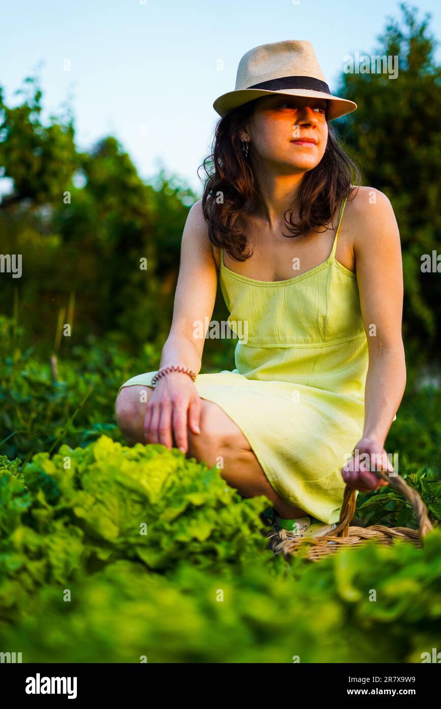 Girl farming lettuces with a green dress on a basket Stock Photo