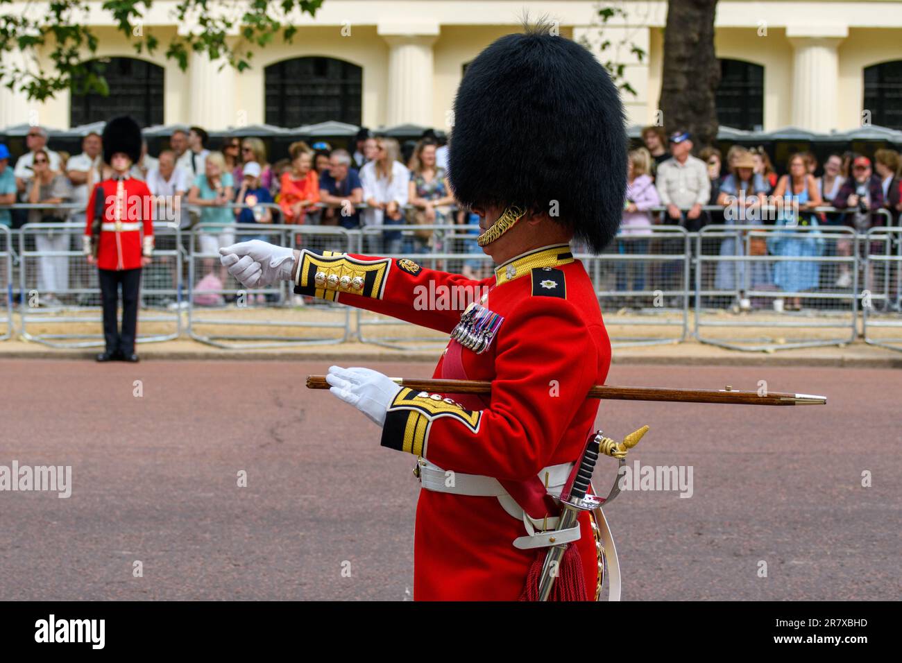 London, UK, 17th June 2023, The crowds gathered after a slow start on the Mall for the first King's  Official Birthday. The Trooping the Colour took place at Horse Guards Parade, with the King riding a horse, along with Prince William, Princes Anne and Prince Edward. A flypast of the red arrows took place with the traditional wave from the Buckingham Palace balcony. , Andrew Lalchan Photography/Alamy Live News Stock Photo