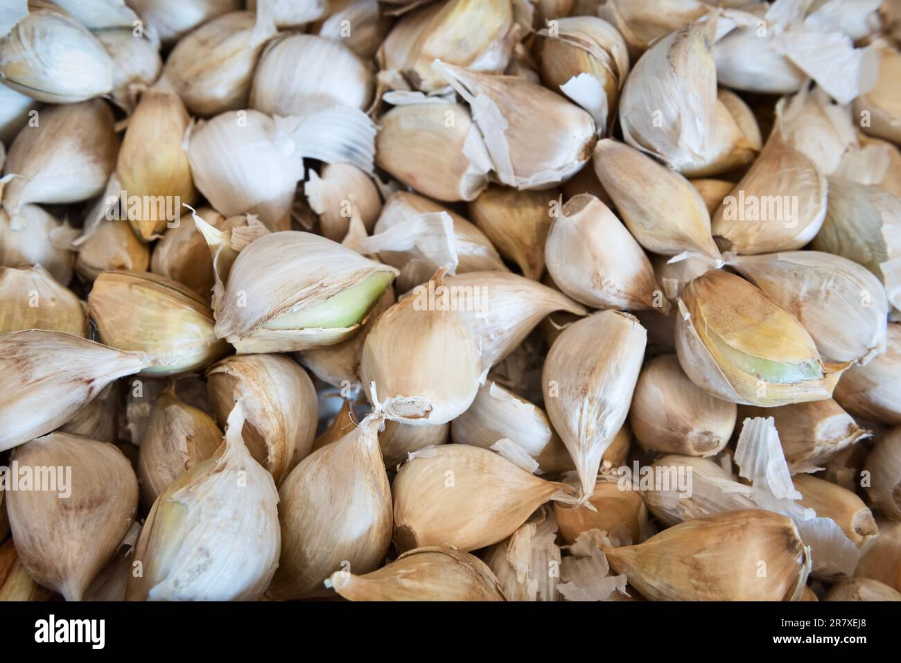 Elephant garlic cloves Stock Photo Alamy