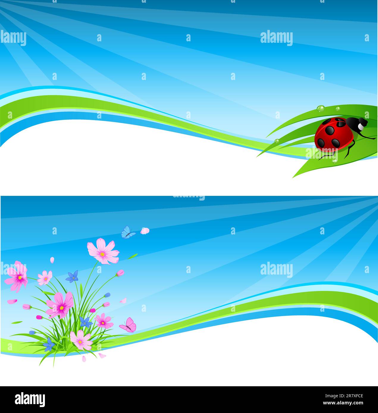 vector blue spring banner with flowers and ladybird Stock Vector Image ...