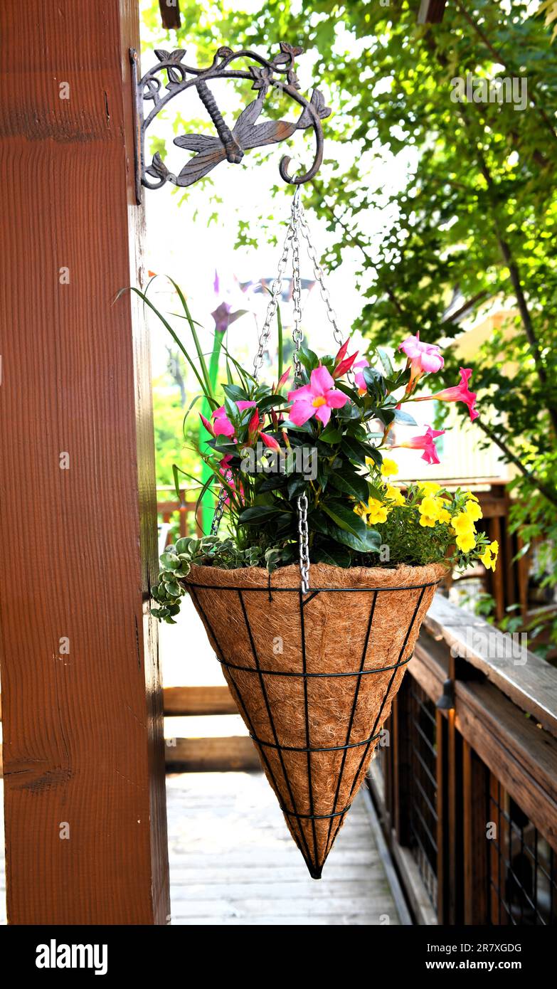 Hanging basket garden hi-res stock photography and images - Alamy