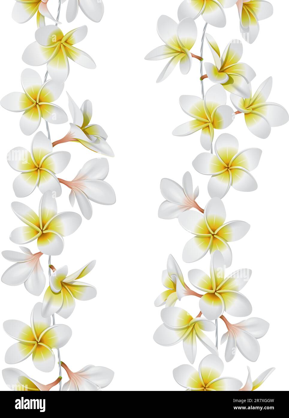 Tropical necklace seamless border. Lei flowers. Vector Illustration Stock Vector