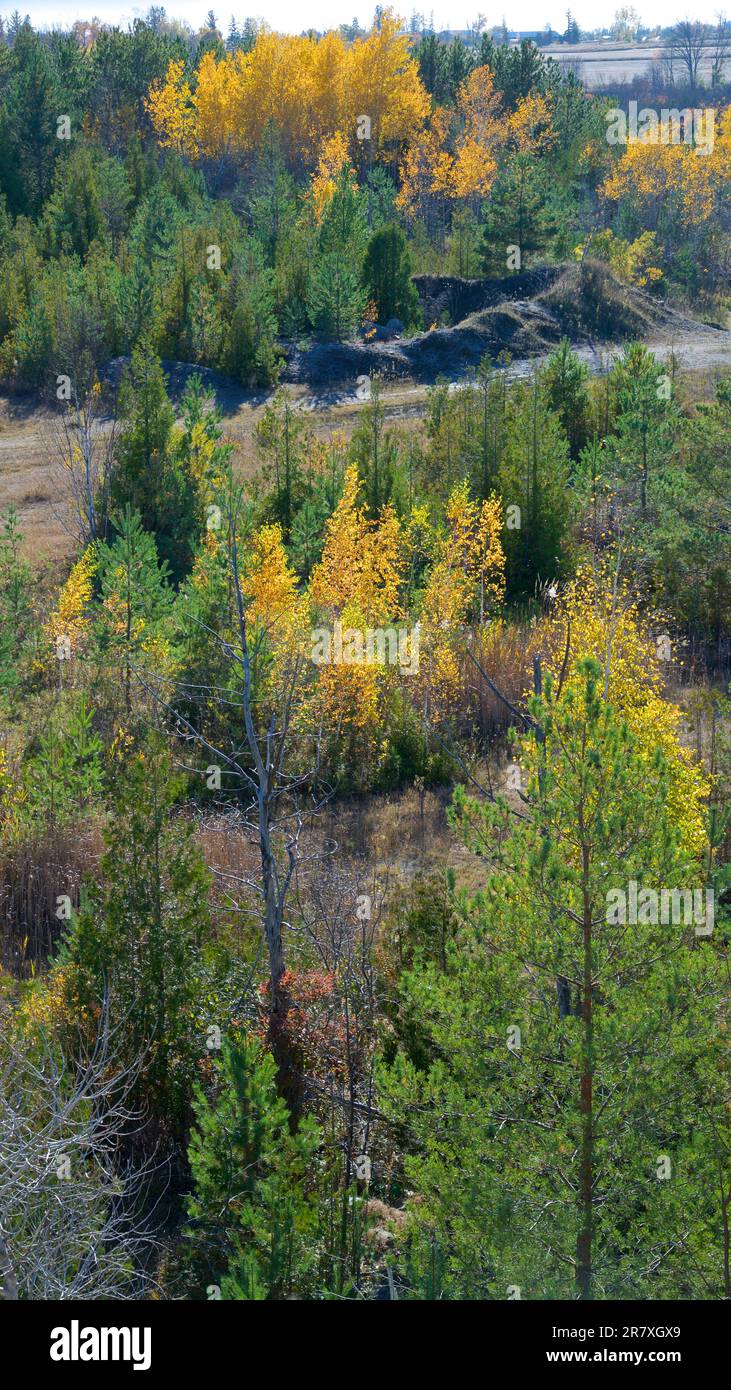 Drone view of the reclaimed strip mines in Ontario in autumn. Colourful outdoor scene Stock Photo