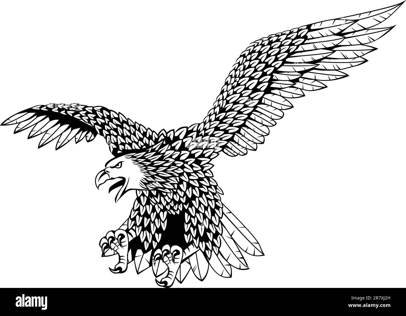 Detailed eagle vector illustration Stock Vector Image & Art - Alamy