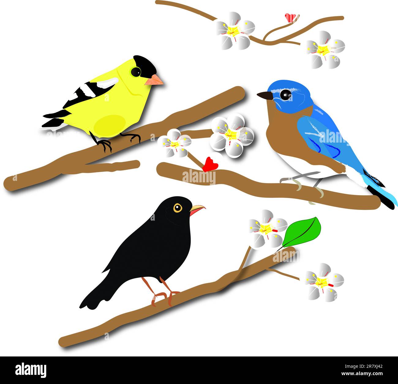 three birds on branches of flowering tree Stock Photo