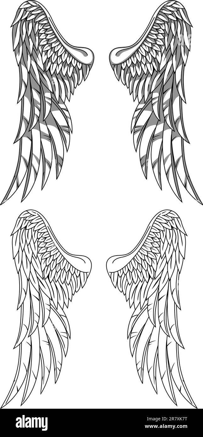 Soft angel wings in Black and White Stock Photos & Images - Alamy