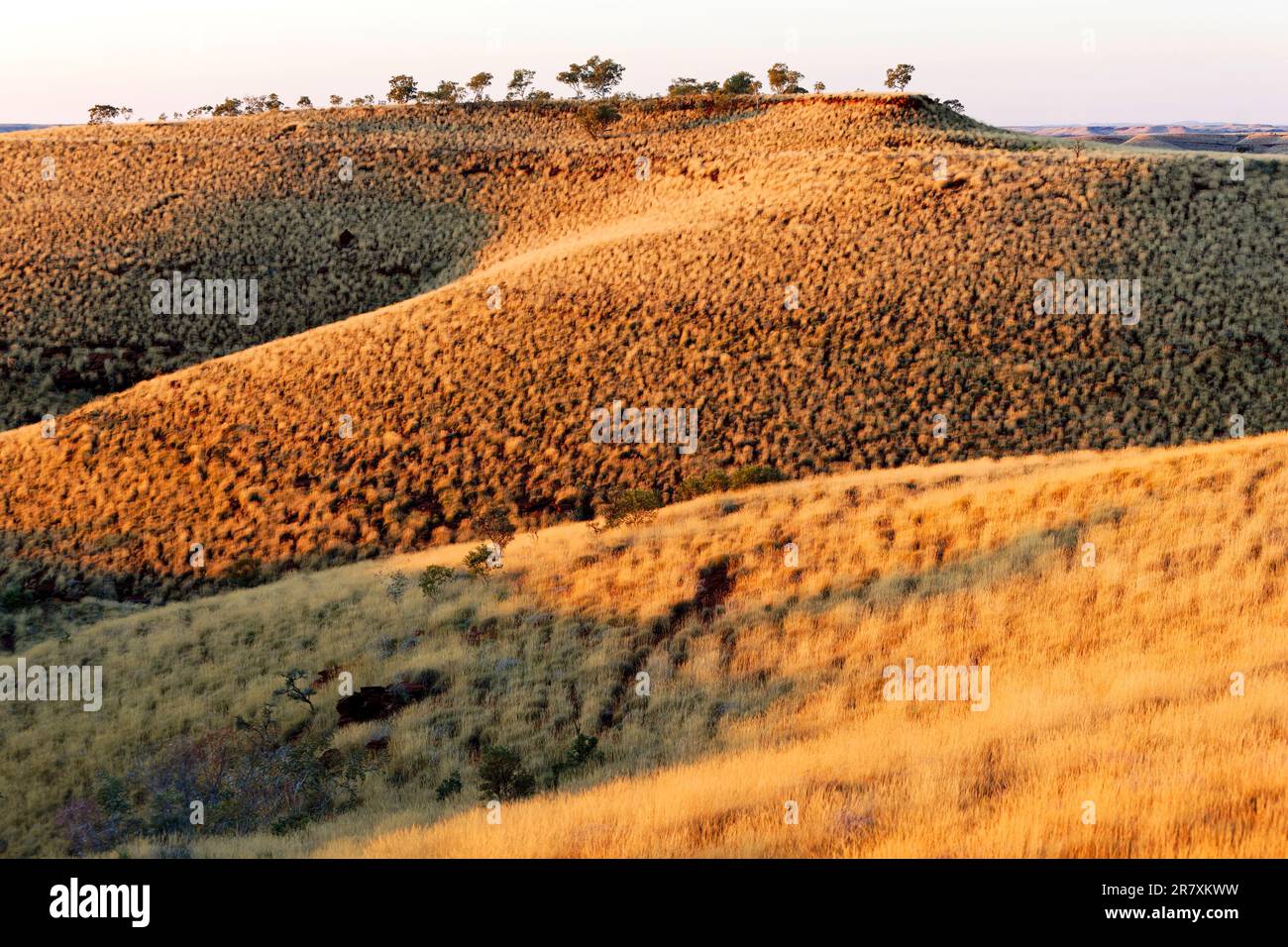 Chichester Range, Chichester Millstream National Park, Pilbara, Western