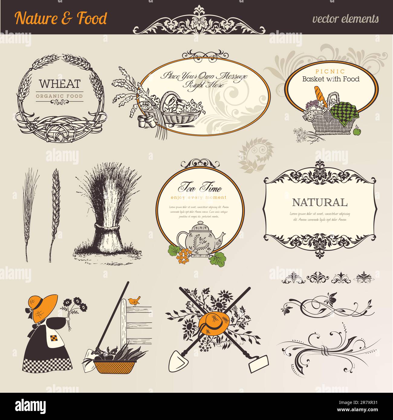 Collection of vintage labels and elements Stock Vector Image & Art - Alamy