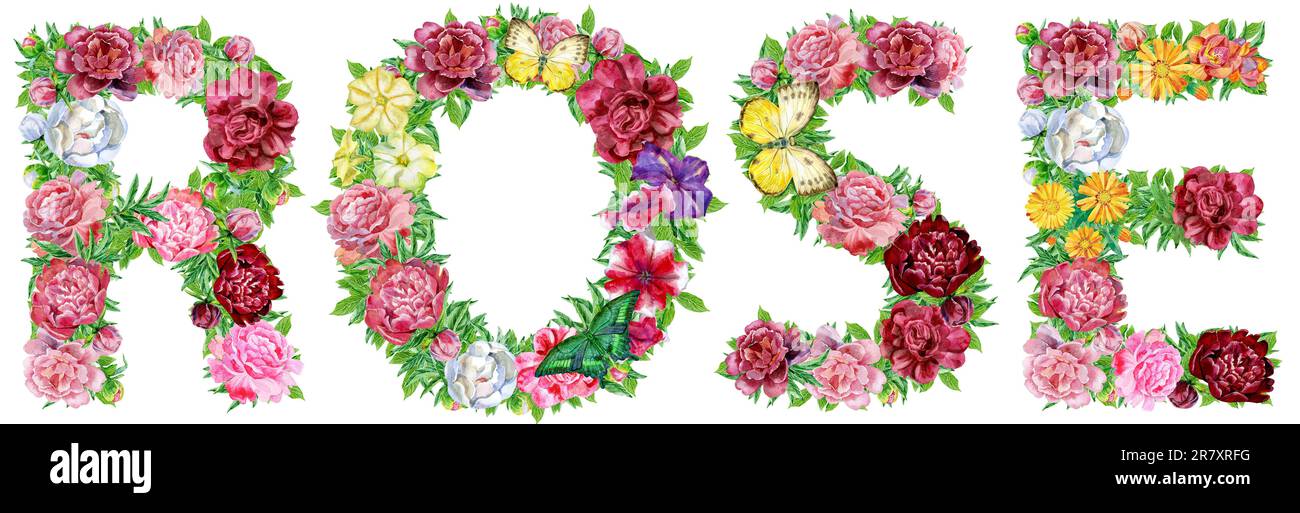 Word ROSE of watercolor flowers, isolated hand drawn on a white